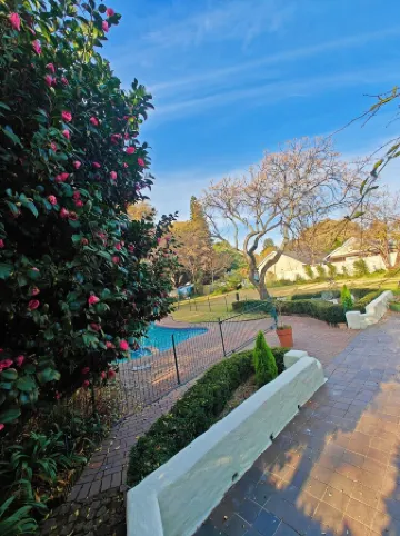 Luxury House into Nature in Sandton, peaceful place with full of greens