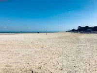 Ryde Beach Garden Apartment, stay Car free by the Sea