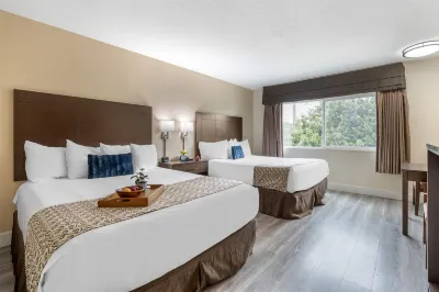 Best Western Westminster Inn Hotels near Little Saigon
