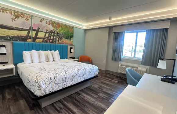 紹辛頓温德姆戴斯酒店