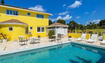 Golden Palm B & B - Housity