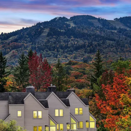 Fall Line Small Studio - Perfect for Two - on Shuttle Route W/ Amenities G6a 1 Bedroom Condo