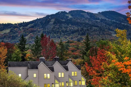 Fall Line Small Studio - Perfect for Two - on Shuttle Route W/ Amenities G6a 1 Bedroom Condo