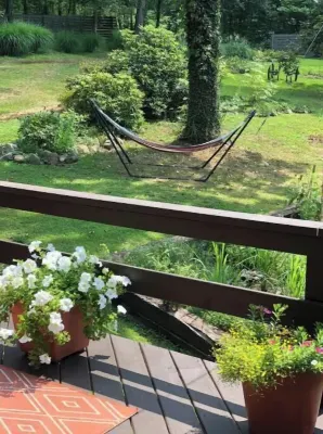Peaceful and private cabin overlooking the Little Buffalo River.