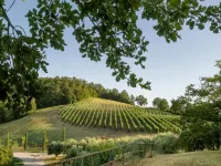 Orte Villa for 8 with Parking