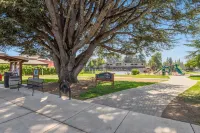 Carlton Crush Pad ~ Where Your Wine Country Getaway Comes to Life Hotels in Carlton