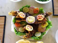 Kay Jay Wild Wilpattu Hotels in Puttalam