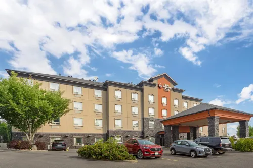 Best Western Plus the Inn at St. Albert - Wifi