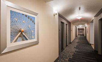 Best Western Plus Buda Austin Inn  Suites