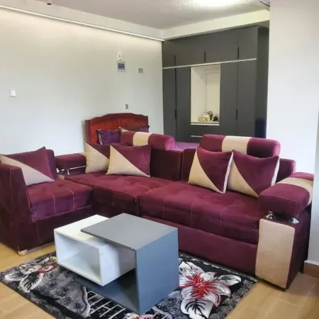 Modern Cozy Studio in the Heart of Kampala