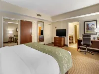 Comfort Suites Johnson City Near University