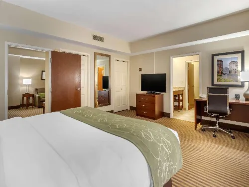 Comfort Suites Johnson City Near University