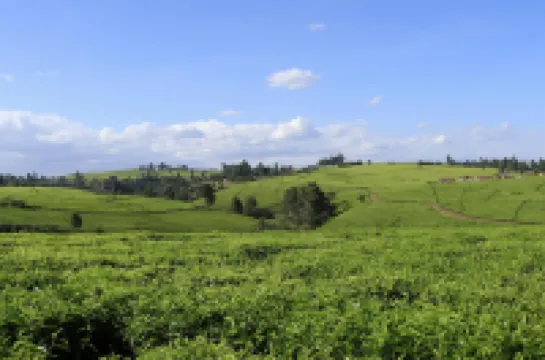 Farmhouse Retreat on 85-acre tea Estate - 2331 Hotels in Limuru Town.