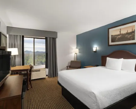 墓碑鎮大酒店 - 温德姆貝蒙特酒店 圖姆斯頓酒店