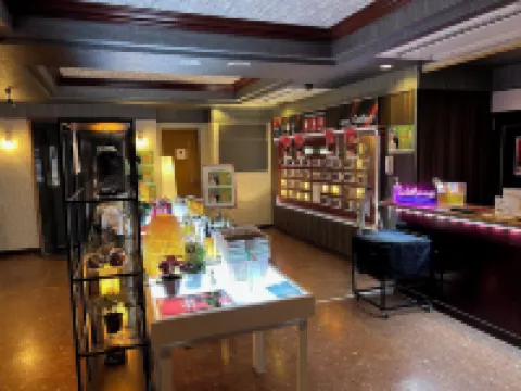 Hotel Gallery (Adult Only)