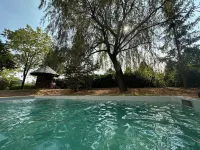 Logis Hôtel le Dahu - Pools
