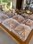 Pousada Aruana - breakfast