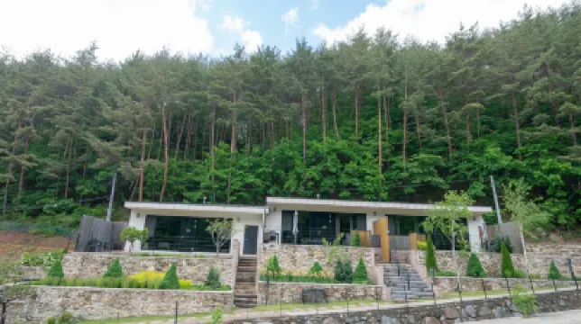 Pyeongchang Penthouse Pool Villa Hotels near Woljeongsa
