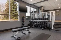Hampton Inn and Suites by Hilton Windsor - Gym