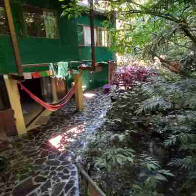 Roots and Wings Spacious House with Forest Views and Private Garden Hotel Exterior
