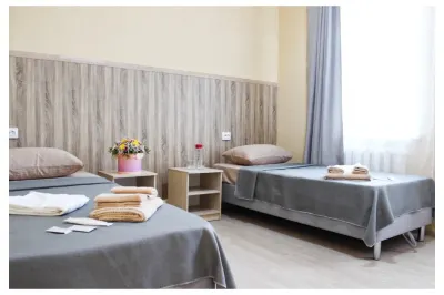 Tsvetyi Hotel 酒店