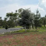 Hotel Casa Don Marcos - Homestays
