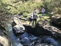 Otters Den - balcony