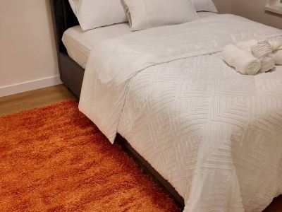 Modern Retreat in Surrey Stylish Apartment with Full Accessibility
