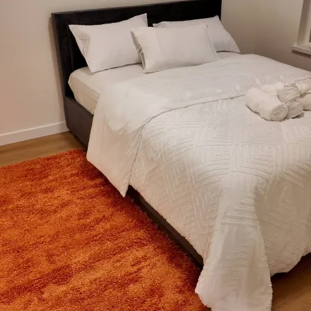 Modern Retreat in Surrey Stylish Apartment with Full Accessibility