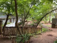 Ayana Eco Rest Dambulla - Bed and breakfasts