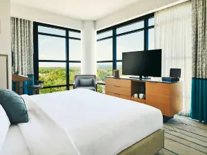 The Draftsman, Charlottesville, University, Autograph Collection Hotel