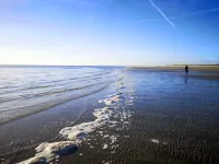 8 Person Holiday Home in Rømø-by Traum - 2-Star