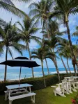 The Backyard Beachfront Hotel - que admiten mascotas