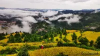 Lei Shan Ni Bei Li Homestay Các khách sạn gần Leishan Ping'an Automobile Passenger Transport Co.， Ltd.