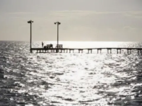 ザ ピースフル ペリカン LLC パラチオスのホテル