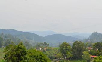 a scenic view of a mountainous landscape with lush greenery and a few people on the side at Riverside Inn Hotel
