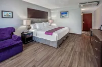 CHN Hotel Monterrey Centro, Trademark Collection by Wyndham - Pet friendly