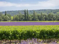 La Machotte Hotels in Valreas