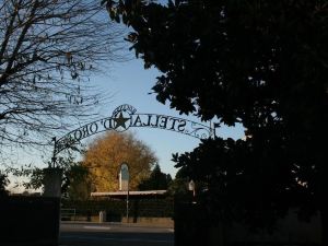 Locanda Stella d'oro