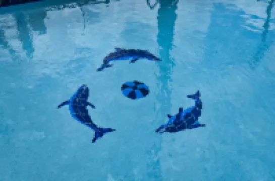 เรดรูฟ อินน์แอนด์สวีทส์ โมบีลเซาท์เวสต์ - ไอ-10