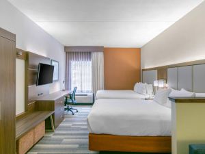Holiday Inn Express & Suites MOUNT阿靈頓-羅卡韋區