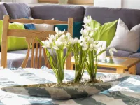 Fischer Hotels in Lechbruck