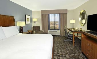 Hilton Garden Inn Austin NW/Arboretum