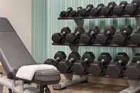 Holiday Inn Express & Suites GREENVILLE-DOWNTOWN by IHG - Gym