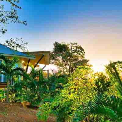 Mikado Natural Lodge Hotel Exterior