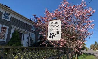 Black Walnut Bed and Breakfast