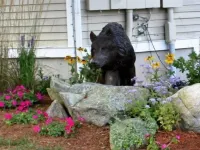 Cedar Park Inn Hotels in Westerly