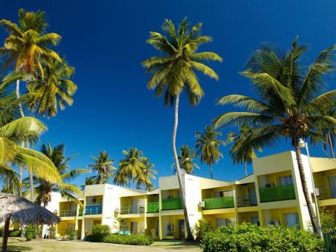 Starfish Tobago