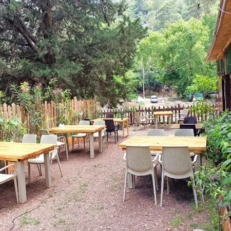 Canario Bungalows