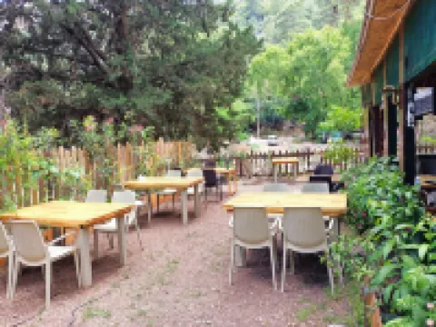 Canario Bungalows